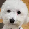 Sandra Brink - @sandra.brink1 - TikTok