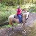 Sandra Brinkerhoff - Facebook