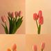 Sandra Briones - Facebook