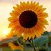 Sandra Britto - Facebook