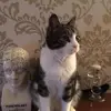 Sandra Britton - @sandrabritton - TikTok