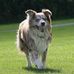 Sandra Broadhead - Facebook