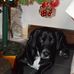 Sandra Brookman - Facebook