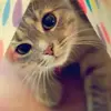 sandrabrossard2 - @sandrabrossard2 - TikTok