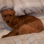 Sandra Broughal - @broughal.sandra - Instagram