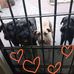 Sandra Broz - Facebook