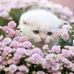 Sandra Bruch - Facebook