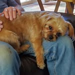 Sandra Bruckshaw - @sandra_bruckshaw - Instagram