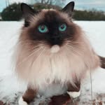Sandra Brummer - @brummer8058 - Instagram