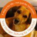 Sandra Brümmer - Facebook