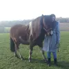 Sandra Brummer - @sandra.brummer82 - TikTok