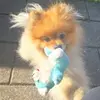 Sandra Brümmer - @sandrabr94 - TikTok
