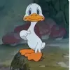 Sandra D Brunner - @sandrabrum.mer - TikTok