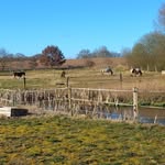 sandra rugullies,jan brunken - @stall_kroegsberg - Instagram