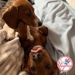 Sandra Lee Brush - @brushsandra - Instagram