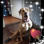 Sandra Buchwald - @sandra.blaser.1481 - Instagram