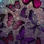 Sandra Buchwald - @sandra.buchwald.5015 - Instagram