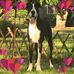 Bucio Sandra - Facebook