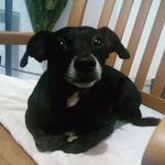 Sandra Bucio - @sandy_b.lab - Instagram