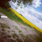 sandra buda - @sandrunia58 - Instagram