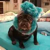 sandrabuells - @sandrabuells - TikTok