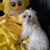 sandrabugarin38 - @sandrabugarin38 - TikTok