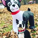 Amy Adelle - @sandrabumgarner1967 - Instagram