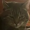 Sandra burak - @sandraburak - TikTok