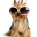 Sandra Bures - Facebook