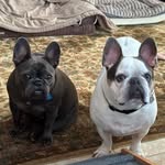 Sandra Burgett Hutchinson - @auntie_san - Instagram