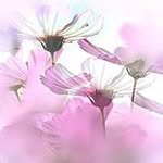 Sandra Burk - @s.burk1971 - Instagram
