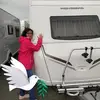 Sandra Burk - @sandra.burk7 - TikTok