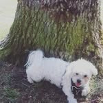 Sandra Burkart - @burkartsandra - Instagram