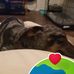 Sandra Burkey - Facebook