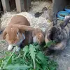 Sandra Burkhardt927 - @sandraburkhardt81 - TikTok
