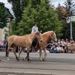 Sandra Burkhardt - @diewanderreitautorin - Instagram