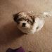 Sandy Burkhardt - Facebook
