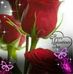Sandra Burnes - Facebook