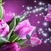 Sandra Burnes - Facebook