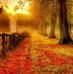 Sandra Burnside - Facebook