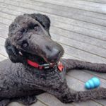 Sandy Burrier - @burriersandra - Instagram