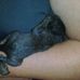 Sandra Burritt - Facebook