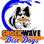 Sandra L Burroughs - @shockwavediscdogs - Instagram