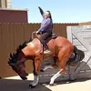 sandraburroughs5 - @sandraburroughs5 - TikTok