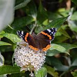 Sandra Bushell - @sandybphotographer - Instagram