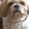 sandra buksik - @sandrab543 - TikTok