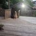 Sandra Van Buskirk - Facebook
