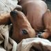 Sandra Butcher - Facebook