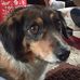 Sandra Buxton - Facebook