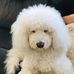 Sandra Cacioppo - Facebook